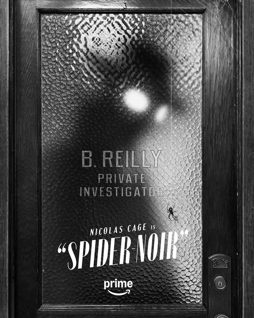Spider-Man Noir [Hindi]