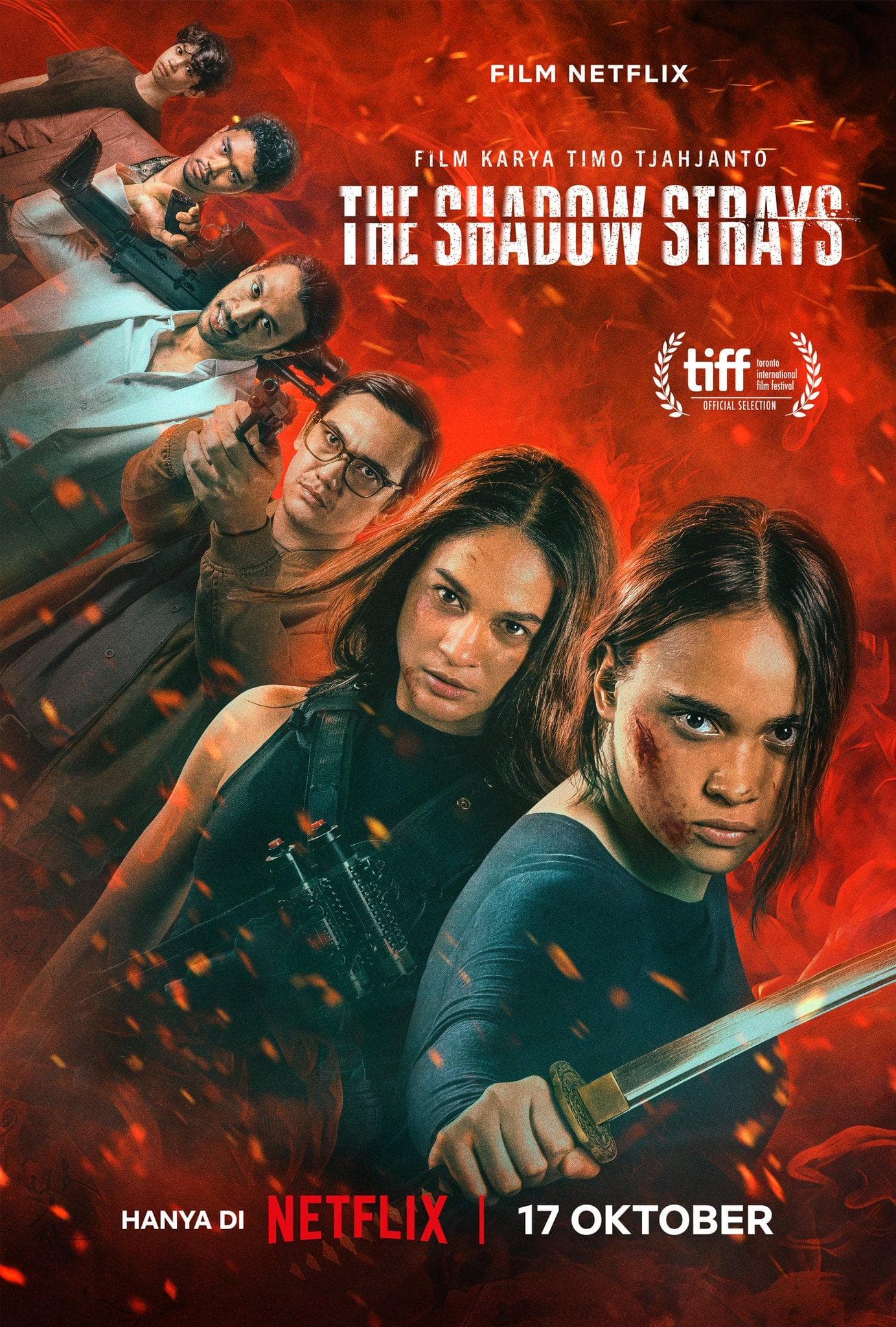 The Shadow Strays [Hindi]