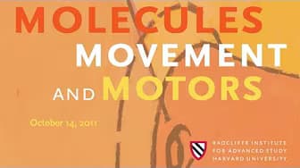 Molecules, Movement, and Motors | Radcliffe Institute