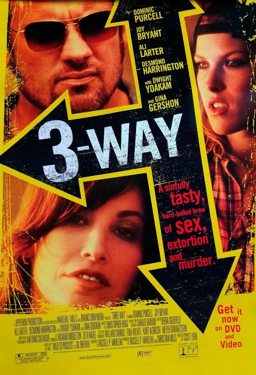 3-Way [Hindi]