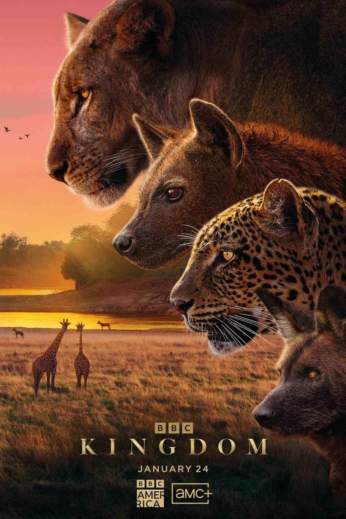 Kingdom